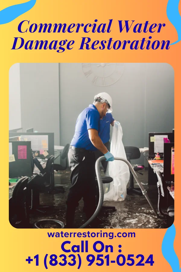 Commercial Water Damage Restoration in Nooksack, WA