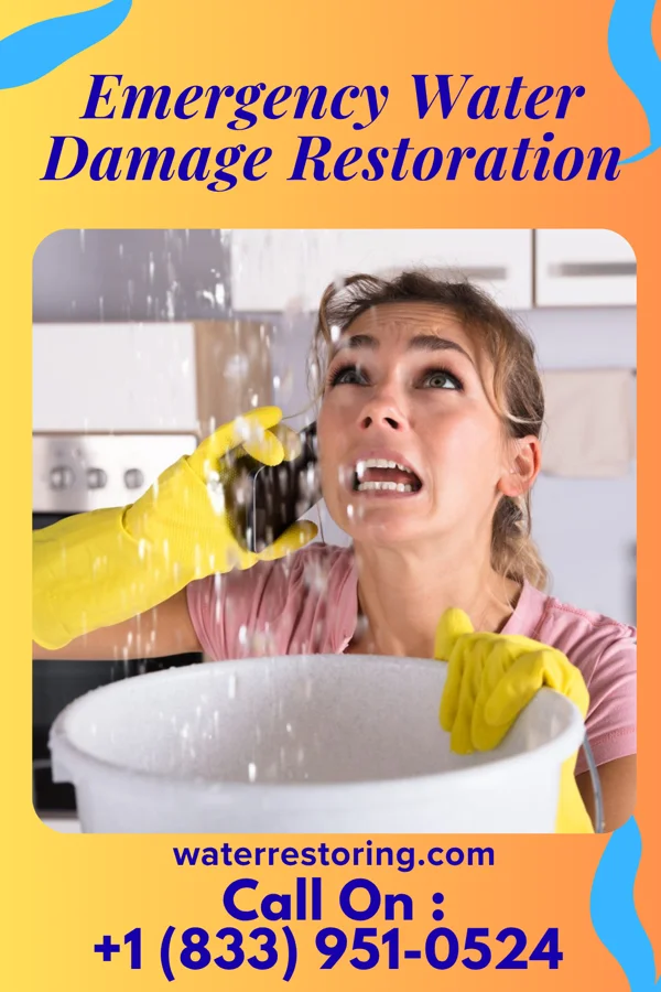 Emergency Water Damage Restoration in Nooksack, WA