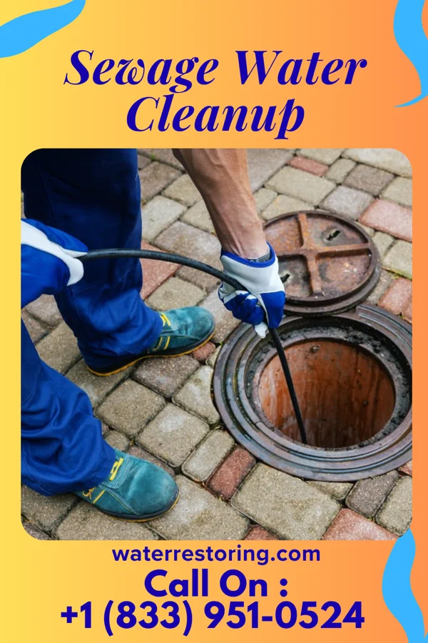 Sewage Water Cleanup in Nooksack, WA